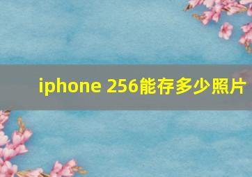 iphone 256能存多少照片